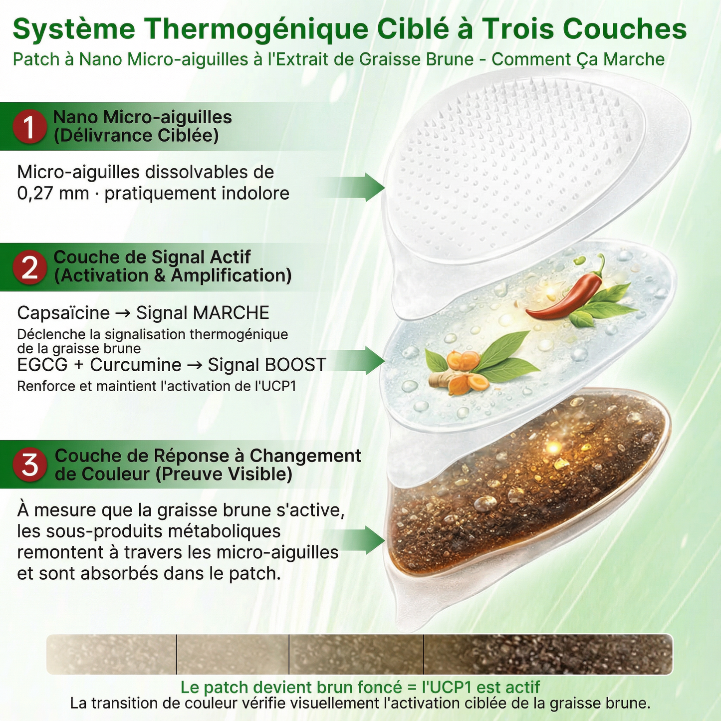 𝑶𝒇𝒇𝒊𝒄𝒊𝒂𝒍 𝑩𝒐𝒖𝒕𝒊𝒒𝒖𝒆✨ | 𝐇𝐞𝐚𝐥𝐫𝐢𝐳𝐞® Patch Microneedle Nanométrique à Extrait de Tissu Adipeux Brun (𝙐𝙣𝙚 𝙛𝙤𝙞𝙨 𝙥𝙖𝙧 𝙟𝙤𝙪𝙧, 𝙘𝙝𝙖𝙣𝙜𝙚𝙢𝙚𝙣𝙩𝙨 𝙫𝙞𝙨𝙞𝙗𝙡𝙚𝙨 𝙚𝙣 7 𝙟𝙤𝙪𝙧𝙨)